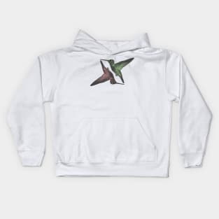 Humming Birds red green Kids Hoodie